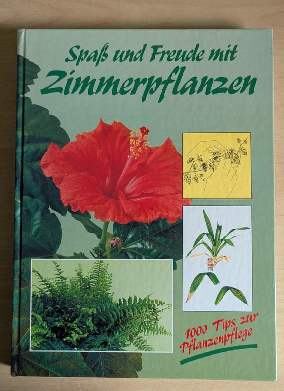 Spaß & Freude mit Zimmerpflanzen
