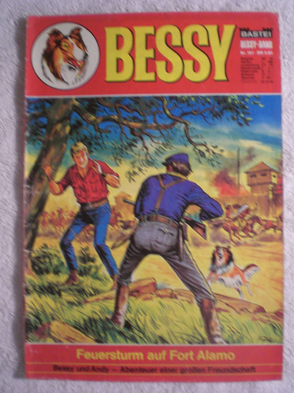 Fascia BESSY 187