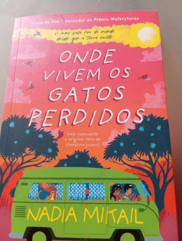 Onde vivem os gatos perdidos