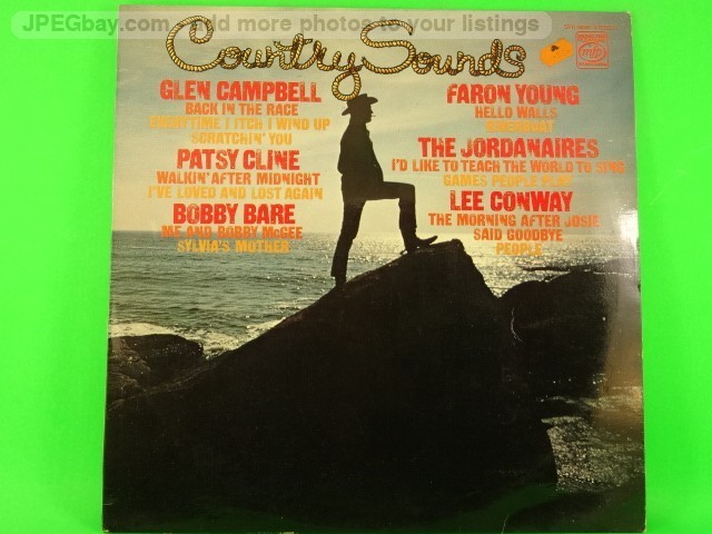 VARIOUS ARTISTS COUNTRY SOUNDS (507) 12 Track LP including Picture Sleeve MUSIC 