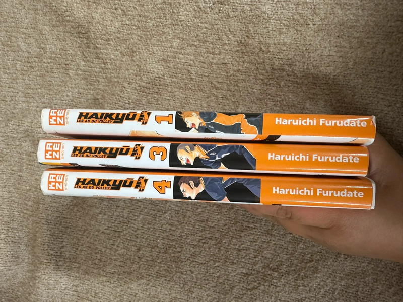 Tome Haikyuu lot