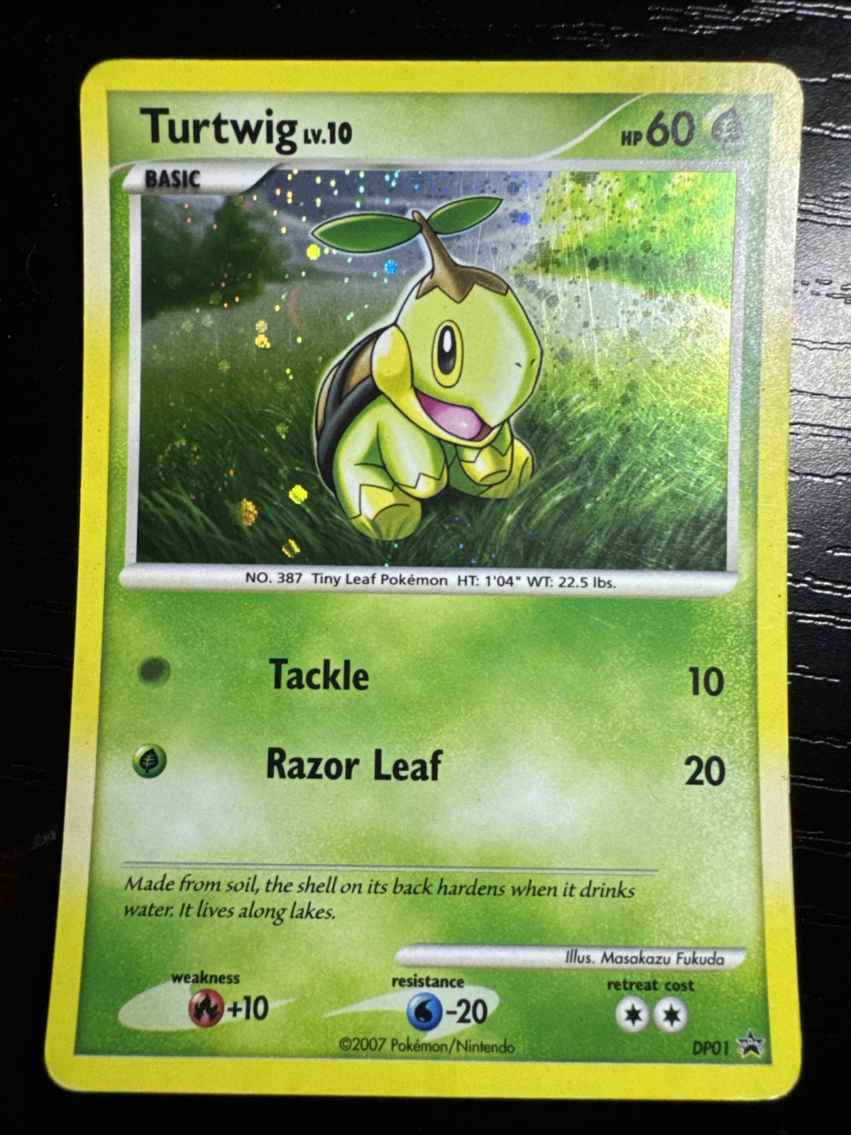 Pokémon TCG Turtwig Holo DP01 Rare Promo Card holo swirl 🍥 (LP)