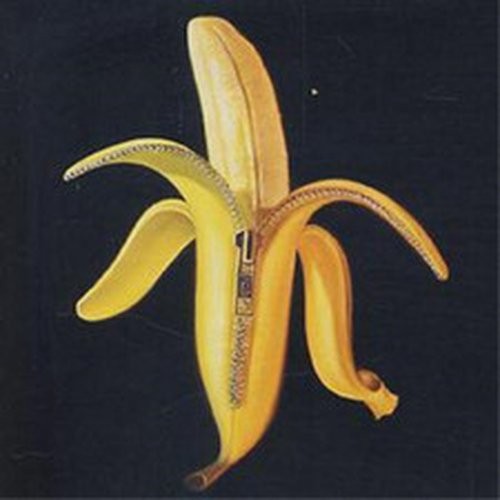 WELCOME TO THE MONKEY HOUSE (CD) ALBUM