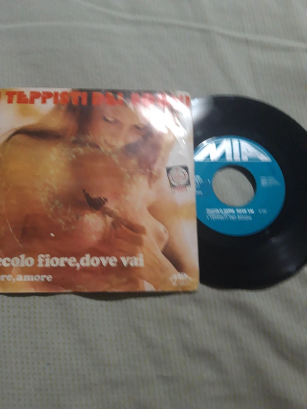 I teppisti dei sogni 45 piccolo fiore dove vai