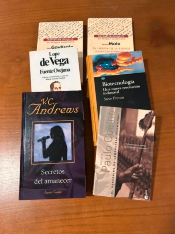 Lote de 6 libros