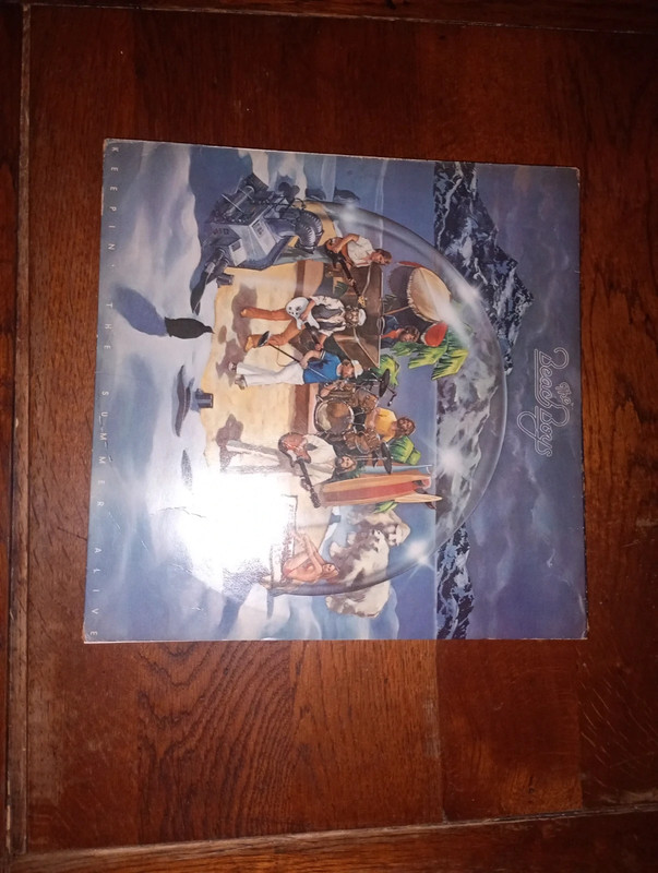 Vinyle 33 Tours The Beach Boys - Sunflower
