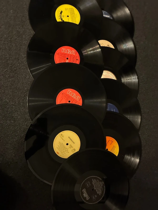 10 Deko Schallplatten 12“