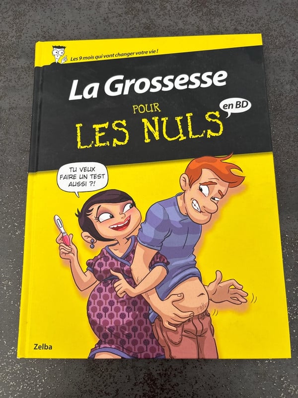 Livre La grossesse pour les nuls en BD