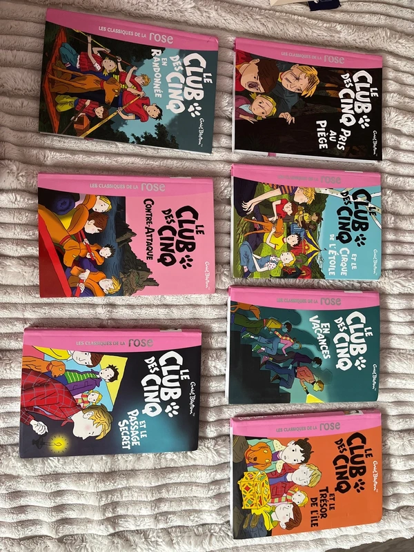 lot de livre club de cinq
