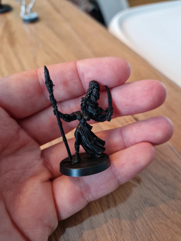 Oop Wood elves mage