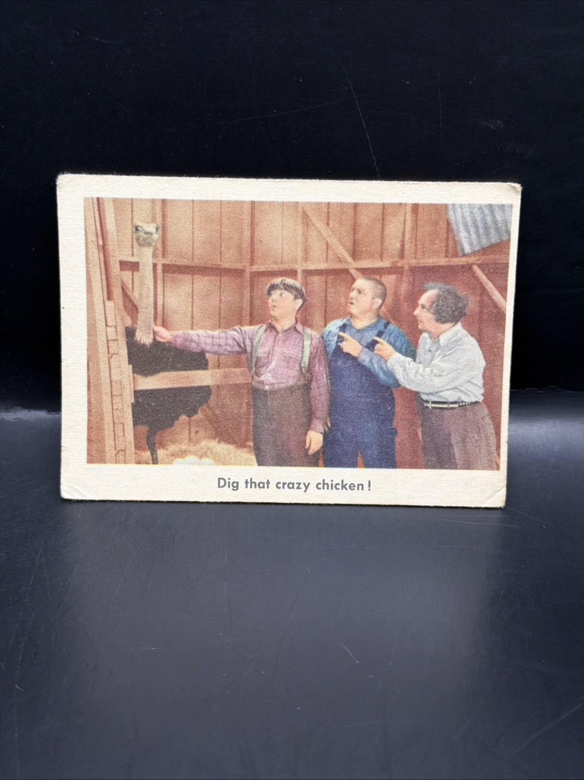 1959 Fleer Three Stooges #45 Scava quel pollo pazzo! Trading Card