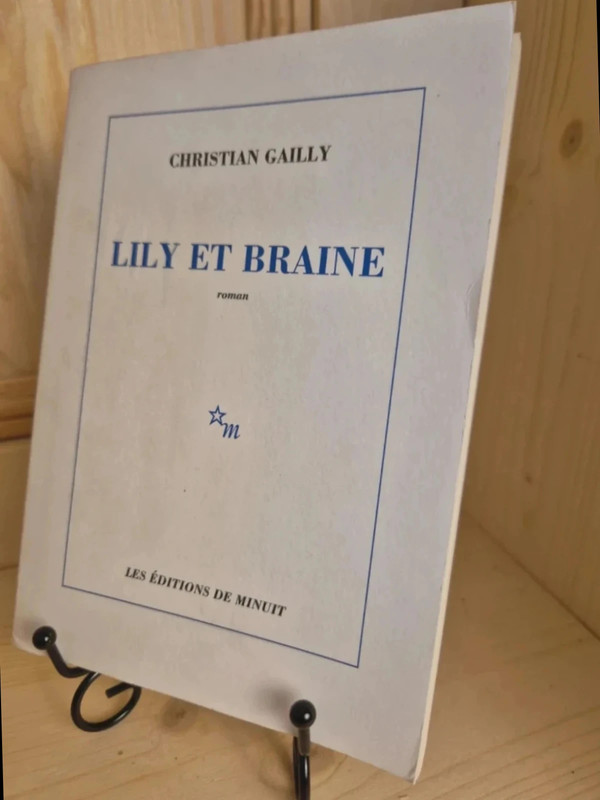 Lyli et Braine de Christian Gailly