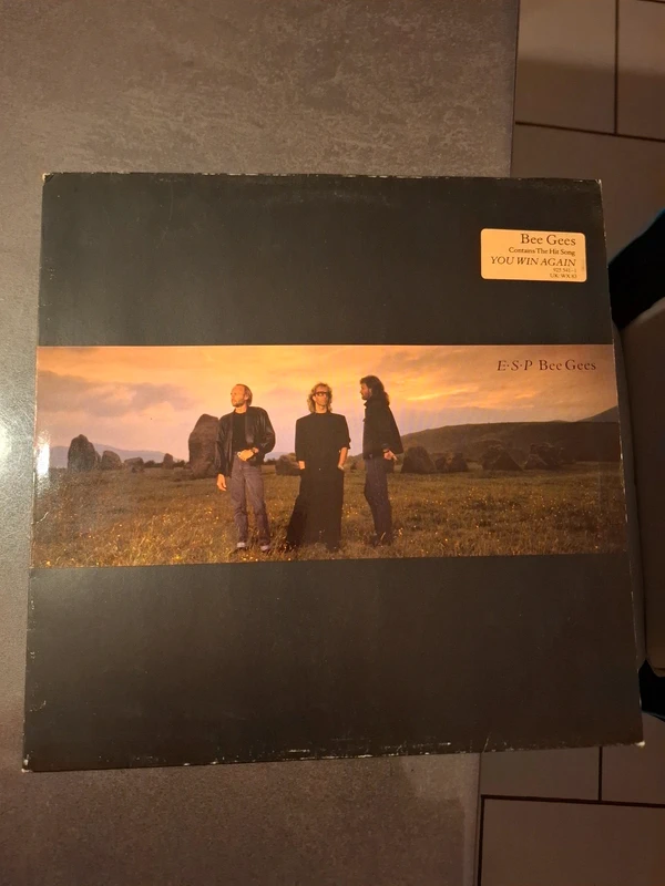 Disque vynil bee gees you win again