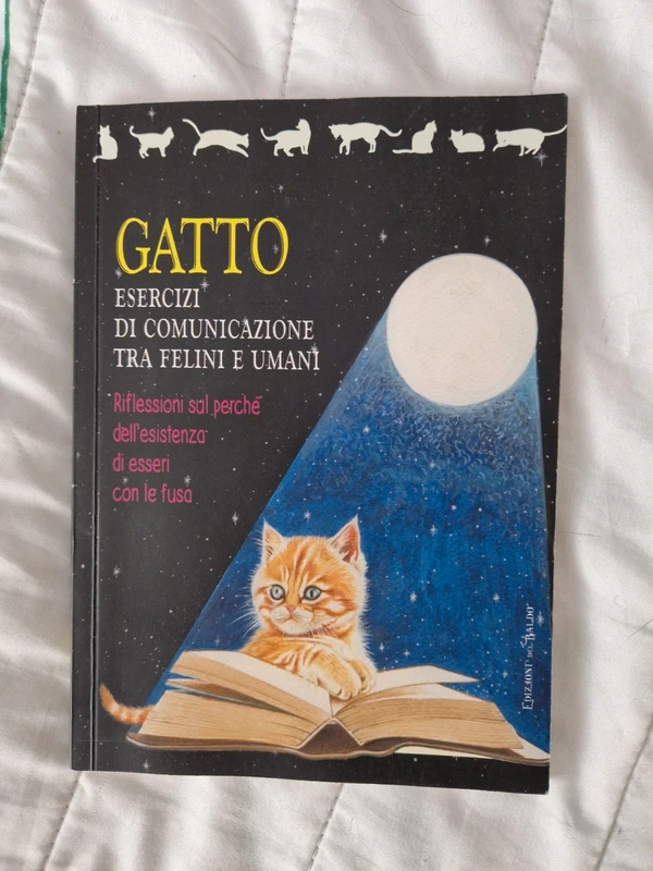 Gatto - esercizi di comunicazione