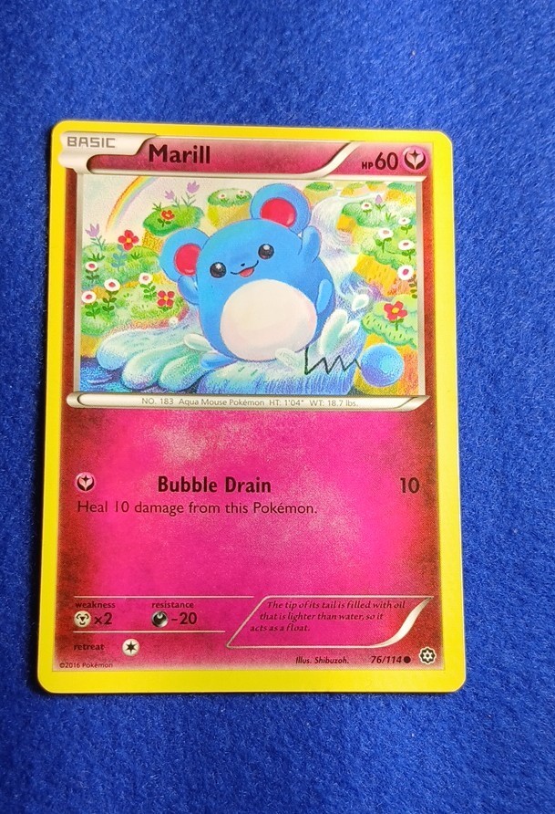 Marill 76/114 XY - Assedio a vapore regolare