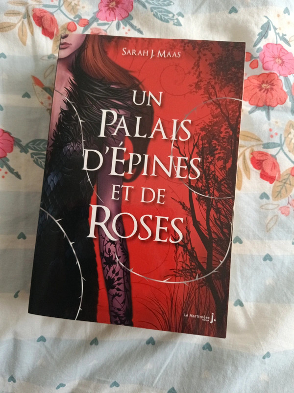 Un palais d'épines et de roses de Sarah j maas