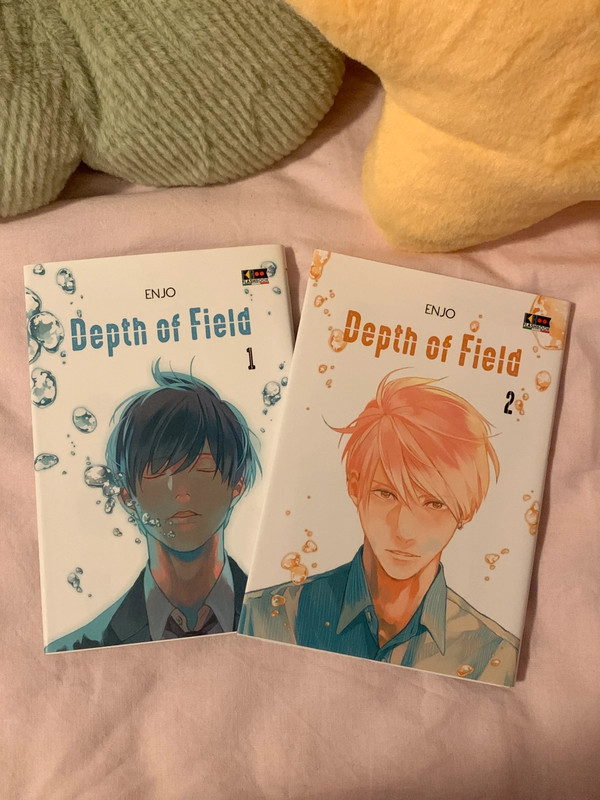 Manga Depth of Field completo in 2 volumi