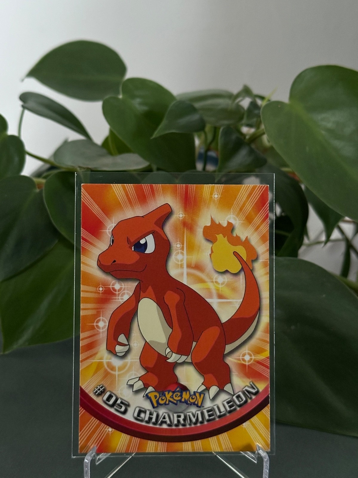 Pokemon Topps Charmeleon #5 1st Print Blue Logo 1999 NM