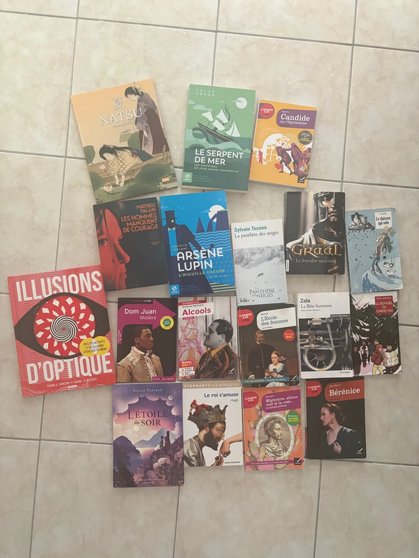 Livres scolaires/romans