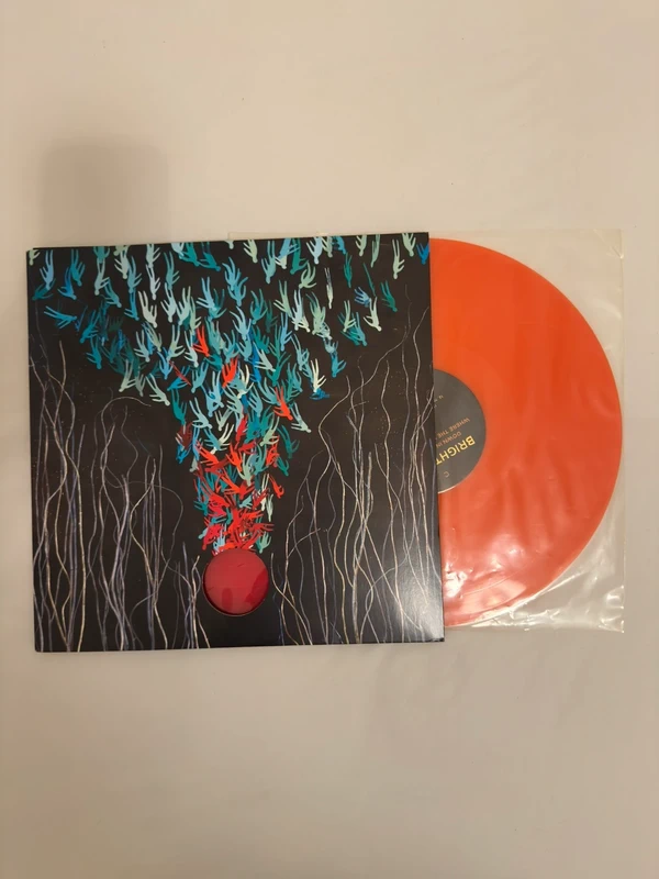 Bright Eyes - Down In the Weeds, Where the World Once Was (LP) (First Pressing)