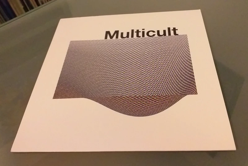 Disque vinyle 45 tours Multicult 2013