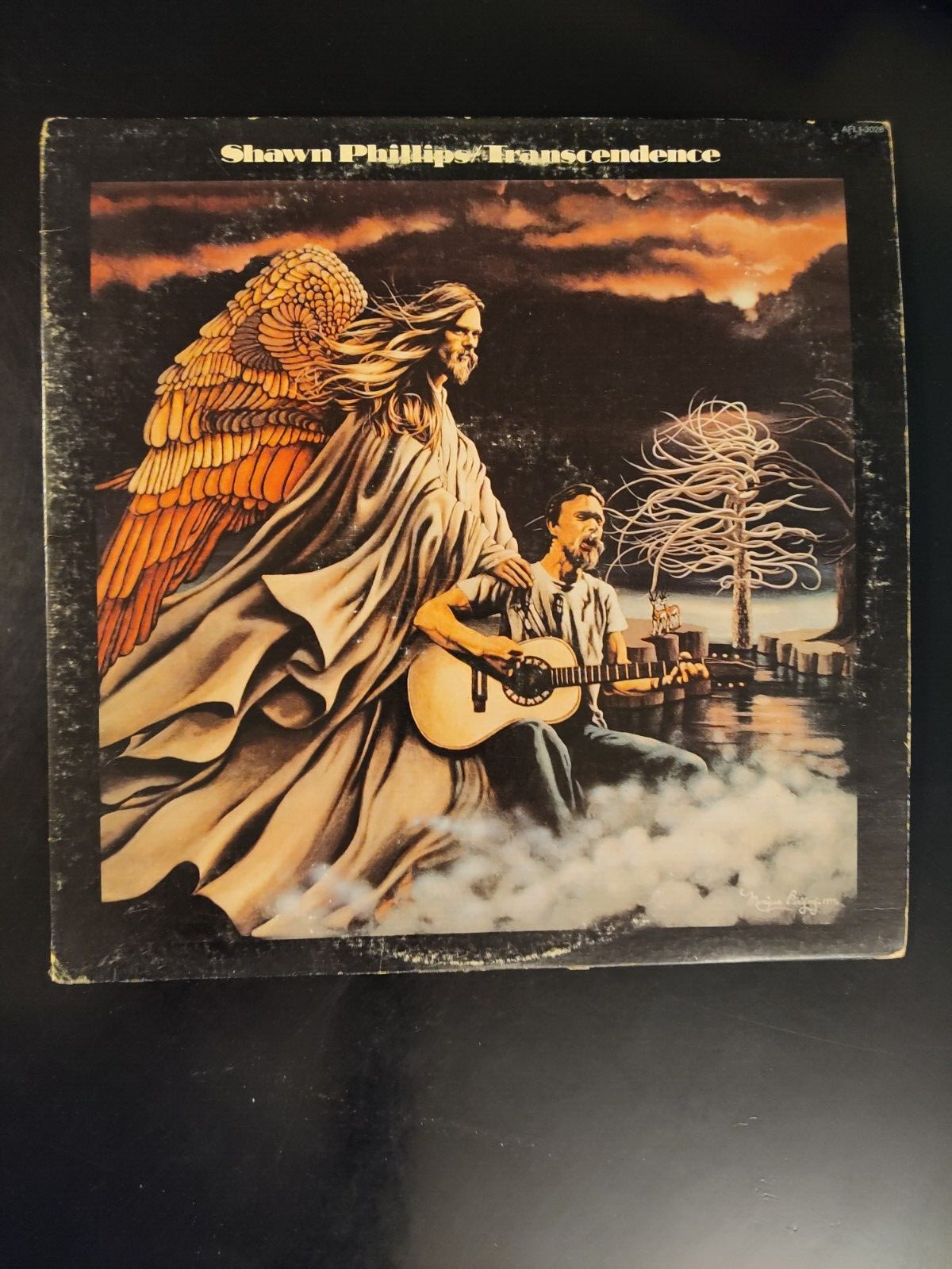 Shawn Phillips - Transcendence - 12" 33rpm LP - RCA w/sleeve