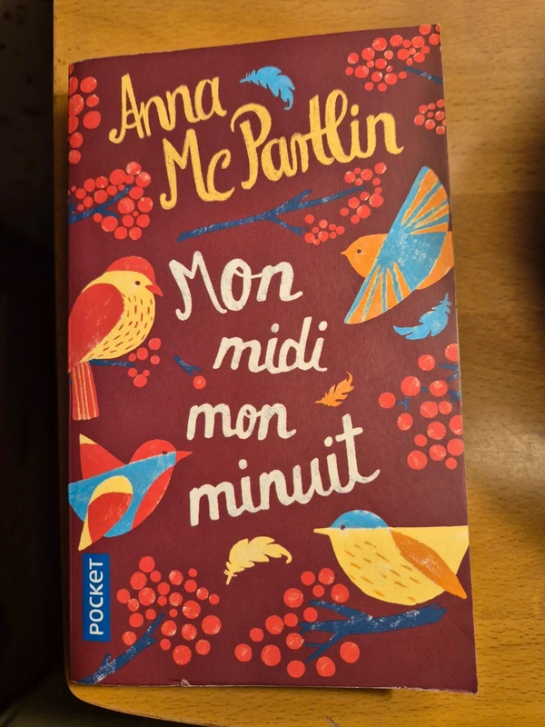 Roman de Anna McPartlin, mon midi mon minuit