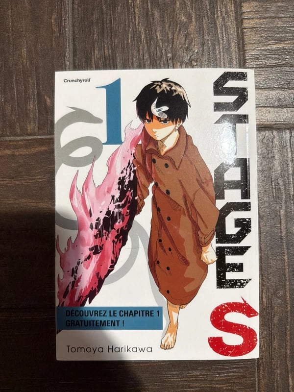 chapter 1 STAGES