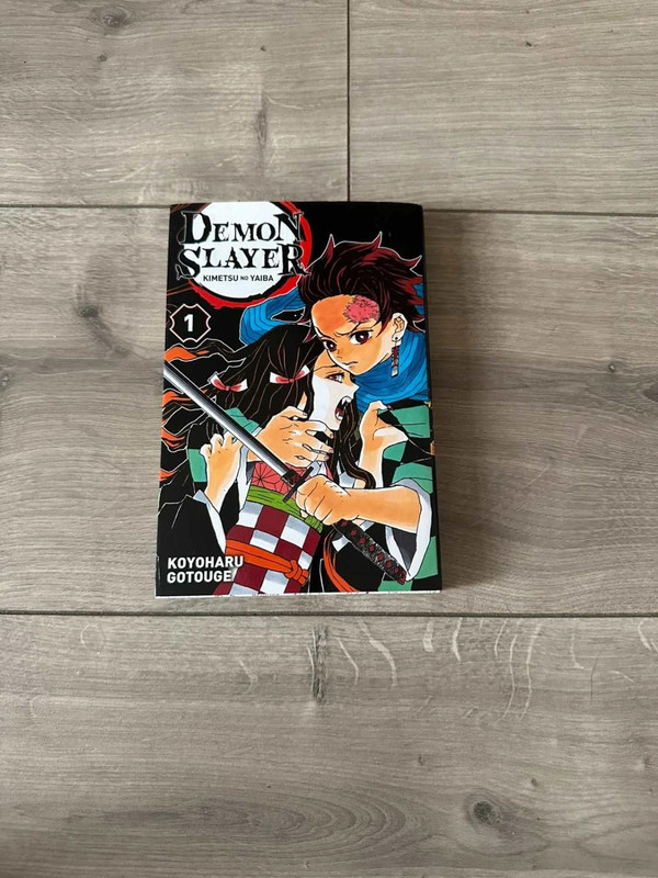 Manga Demon Slayer Tome 1 / Koyoharu Gotouge (Très bon état, Réduction active)