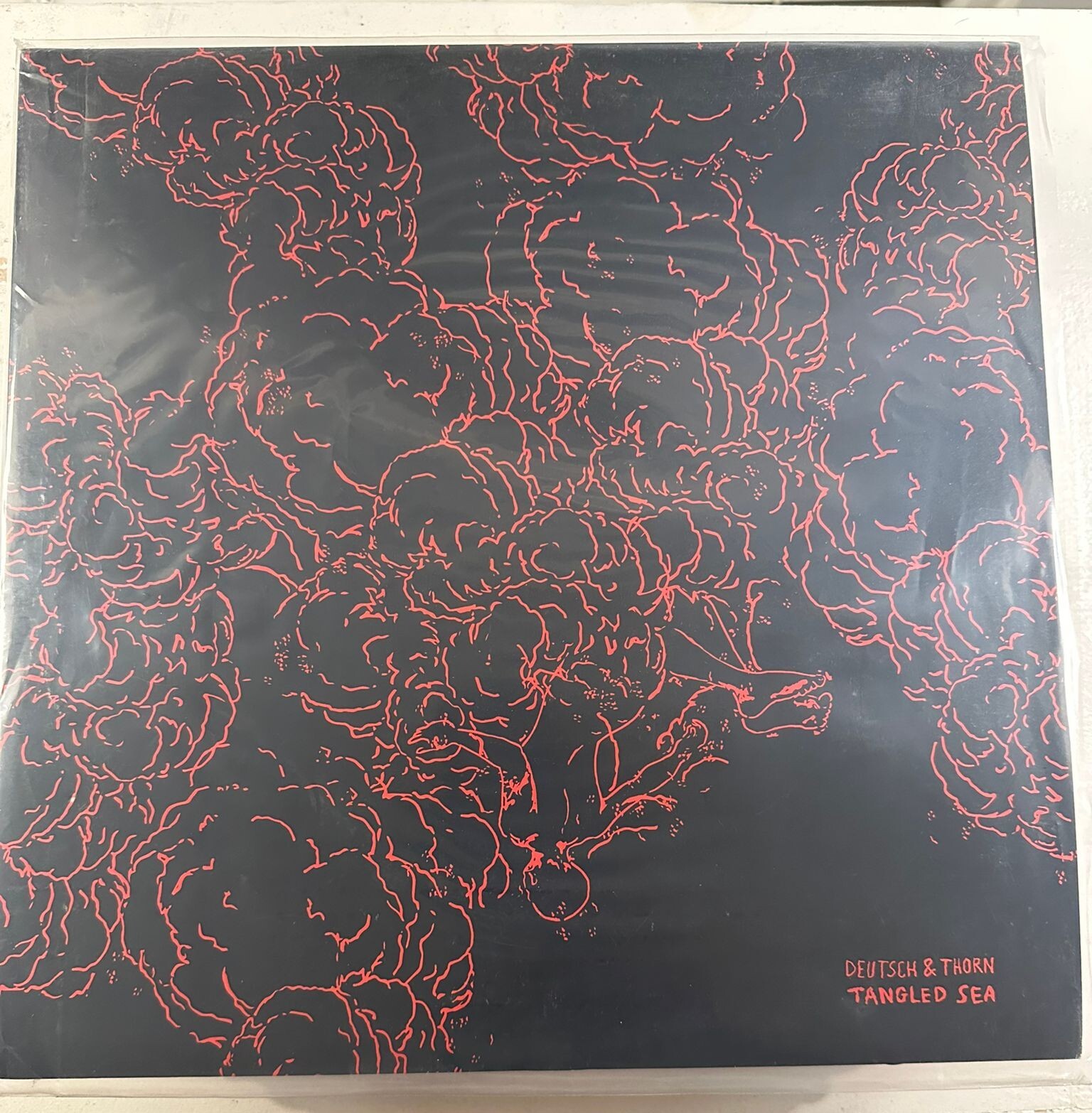 ERIK DEUTSCH, ANDY THORN – TANGLED SEA - VINYL LP BLACK - VG+  - A14