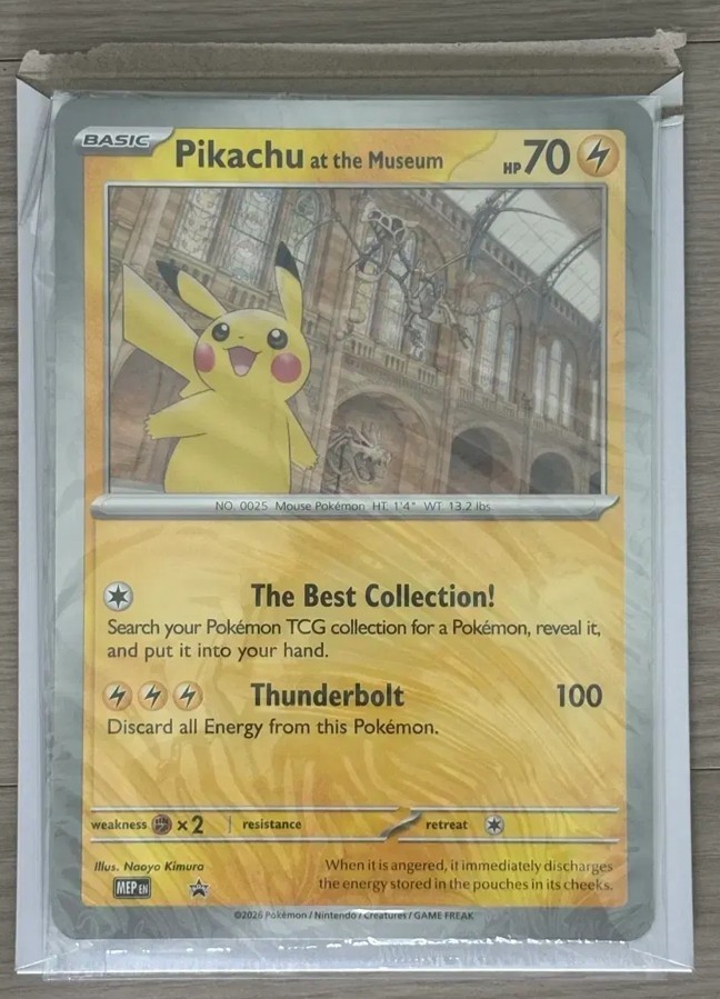 Carta Pokemon Jumbo Pikachu al Museo Sigillata Promo Museo di Storia Naturale