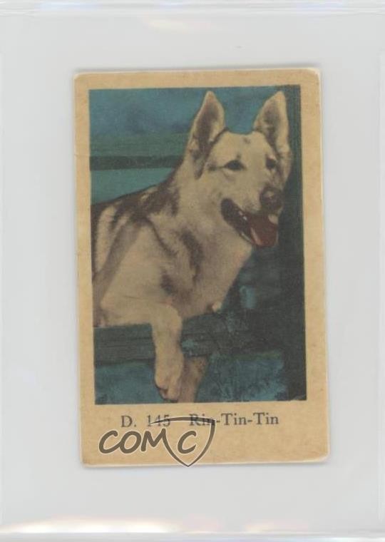 1961 Dutch Gum D Plain Text Set Rin-Tin-Tin #D.145 05ng