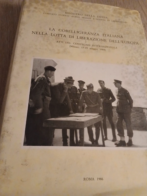 La cobelligeranza italiana nella lotta di liberazione dell'Europa