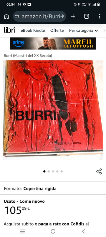 Libro grande Burri e Van Gogh