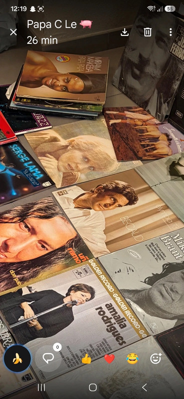 Lot complet de vinyles 33T et 45T Variété