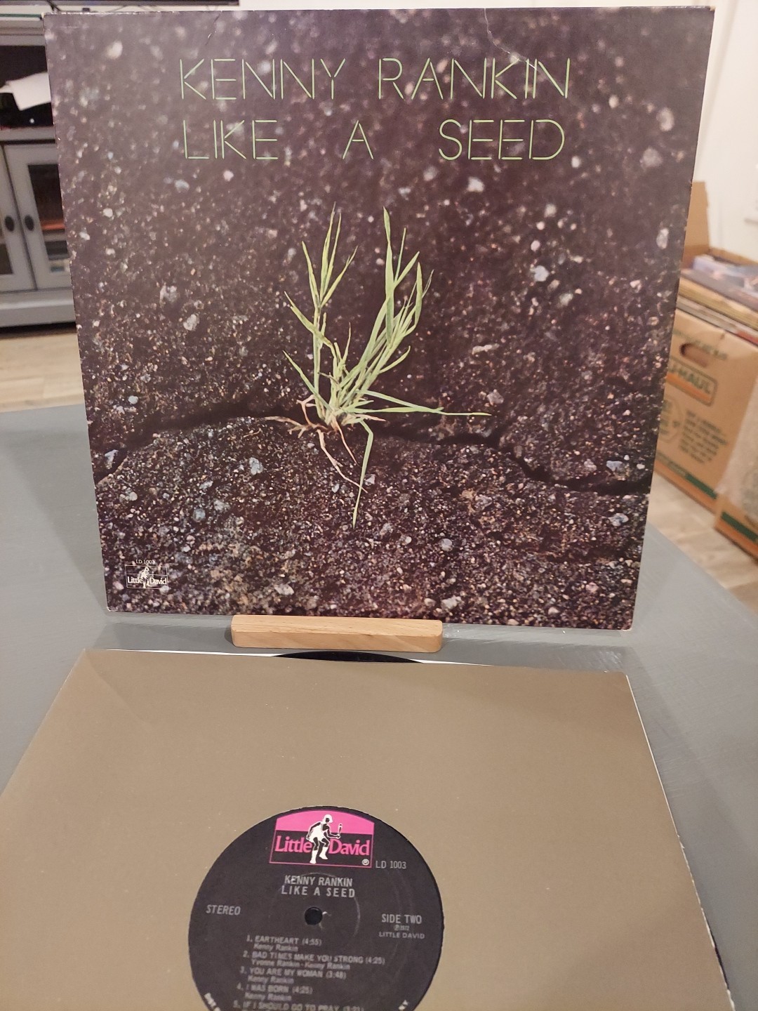 KENNY RANKIN, LIKE A SEED Vinyl LP,   FolkRock, Seriously Good Music, NM/EX