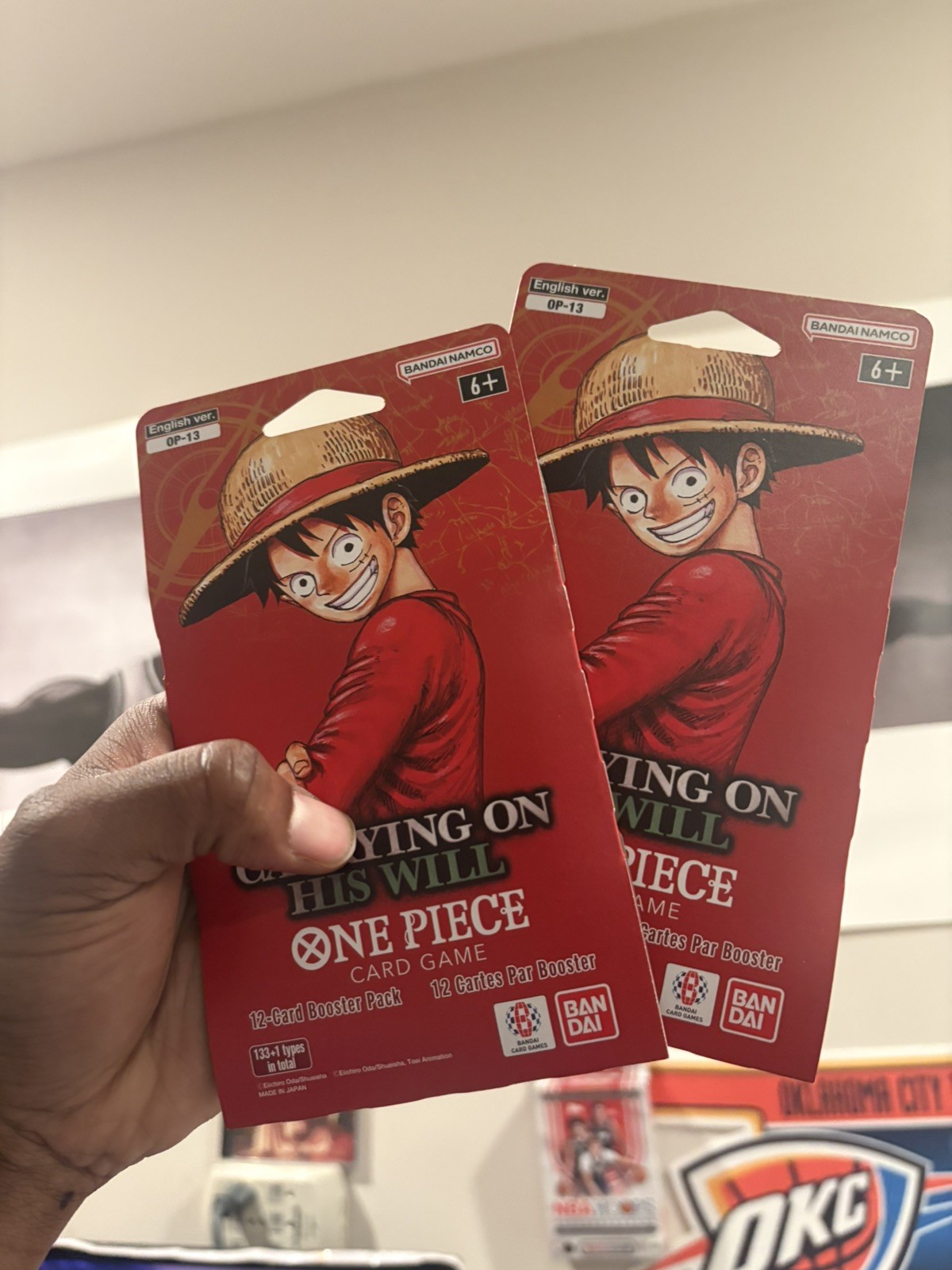 One Piece TCG Carrying On His Will Sleeved Booster Pack Lotto di 2 Inglese OP13