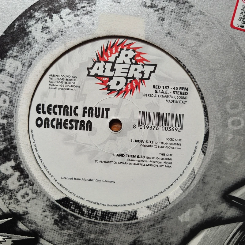 Electric Fruit Orchestra - Now (12") Progressive House, Euro House