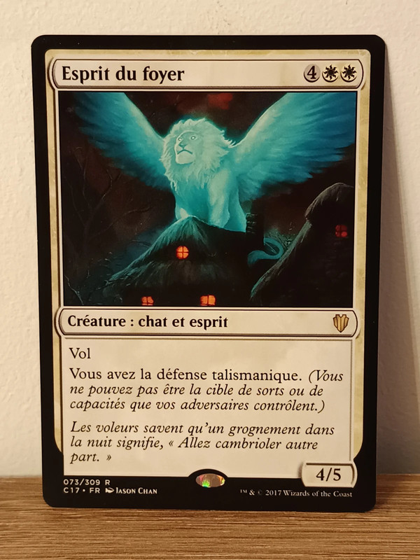 Magic The Gathering – Esprit du foyer – NM / Near Mint