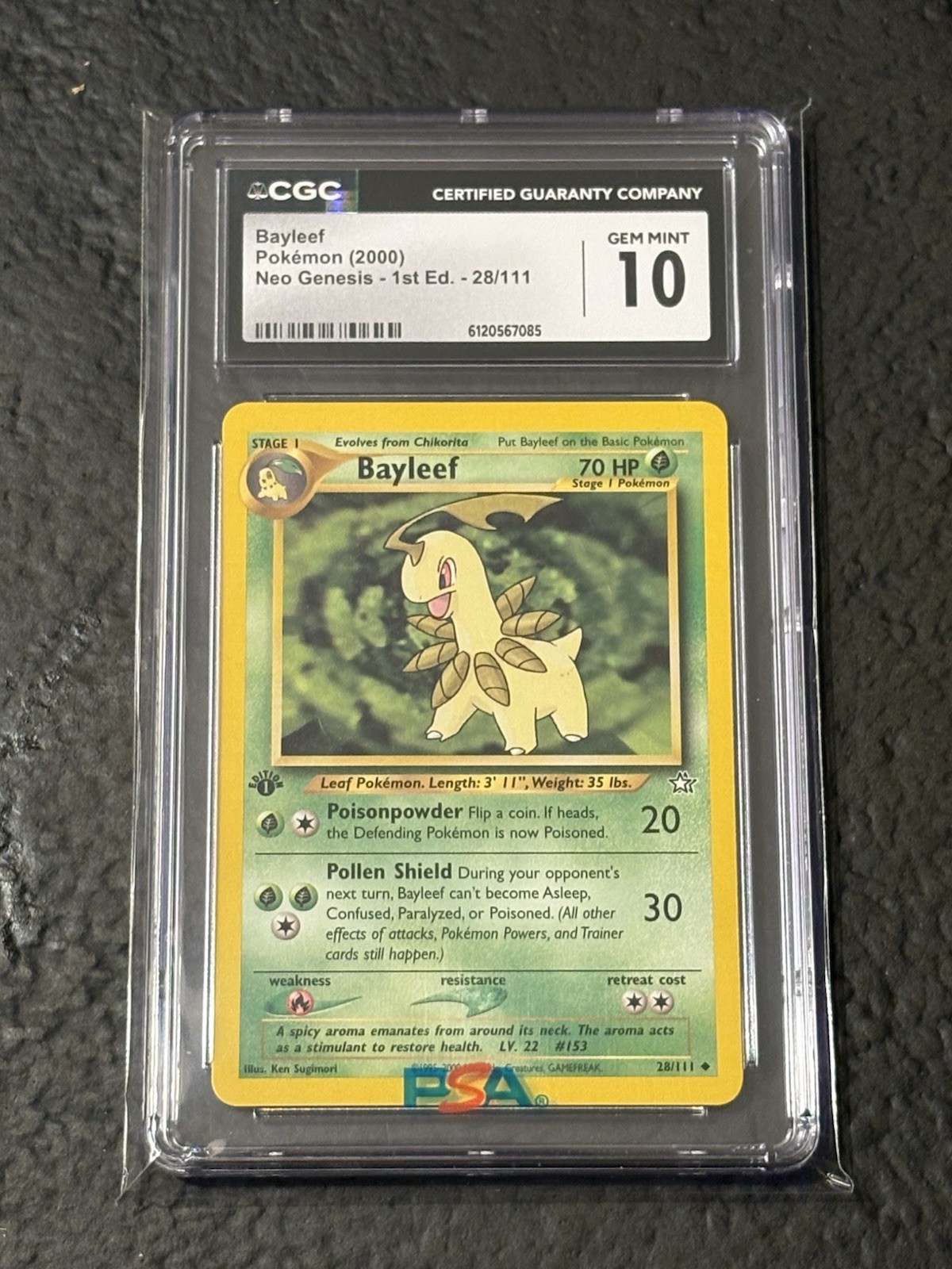 Vintage Pokémon Bayleef 2000 Neo Genesis - 1st Edition 28/111 CGC 10 Gem Mint