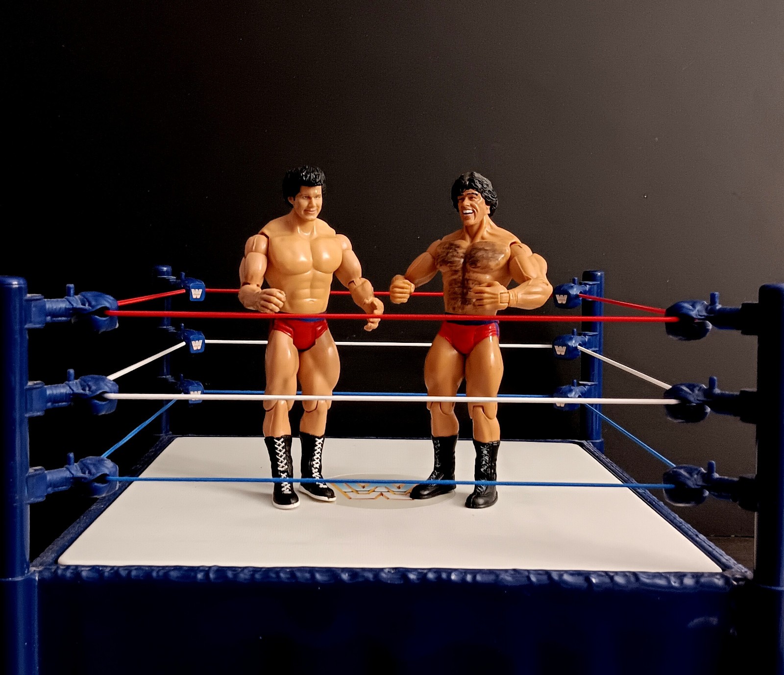 RICK MARTEL + TONY GAREA  WWE  FIGURES JAKKS classic legend wcw