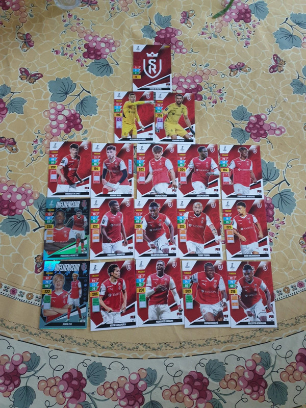 Équipe stade de Reims panini 2024 2025