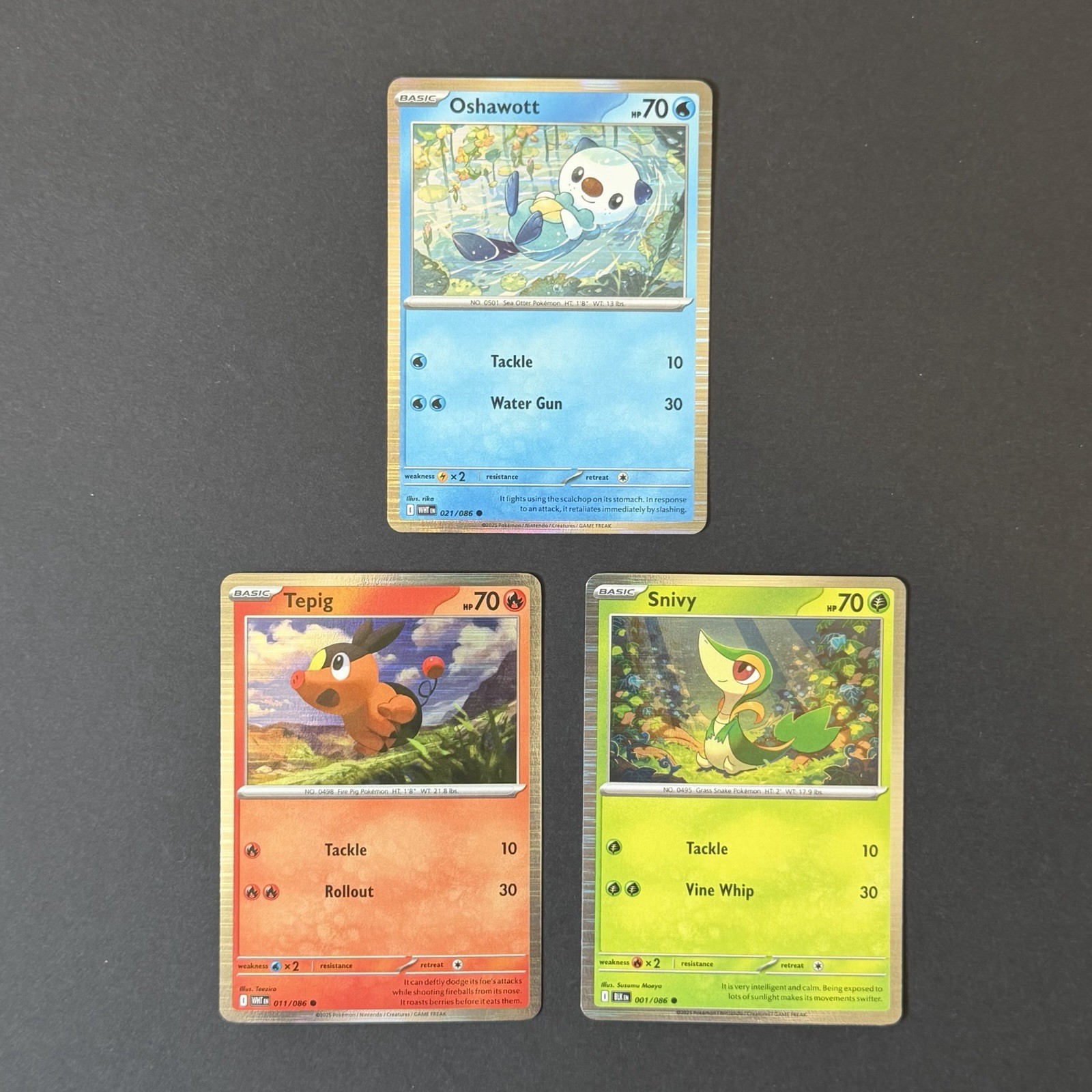 Tepig Snivy Oshawatt 3 Holo Promo da Black Bolt & White Flare Poster Set quasi nuovo