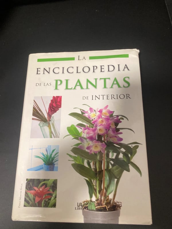 Plantas inteiror