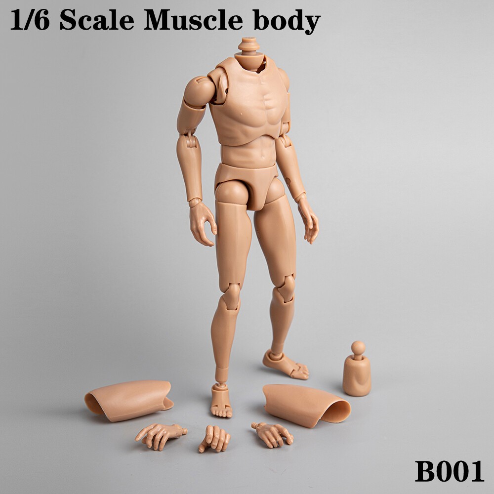 Modellino corpo caucasico Dragon B001 1/6 maschio spalla stretta per action figure 12"