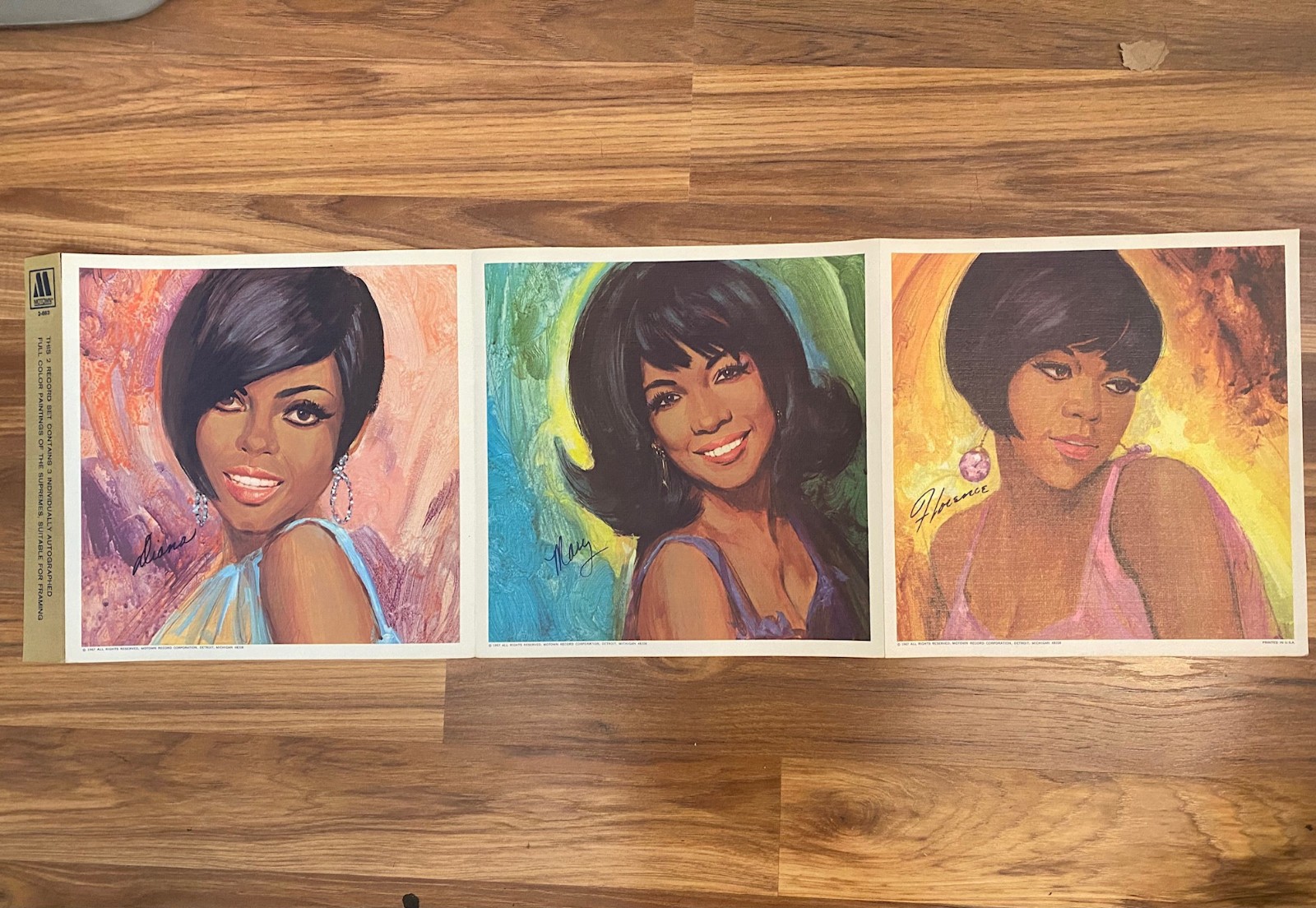 SUPREMES Greatest Hits Album Poster 36" x 12" Diana Ross, Florence Ballard, Mary