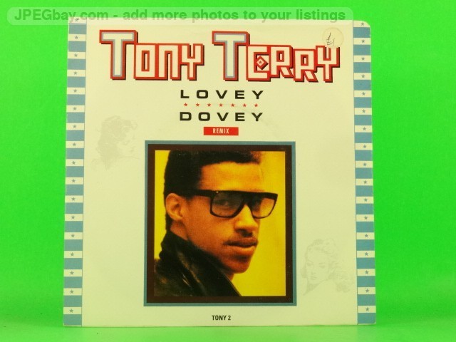 TERRY,TONY LOVEY DOVEY (PICTURE SLEEVE) (137) 7" EPIC