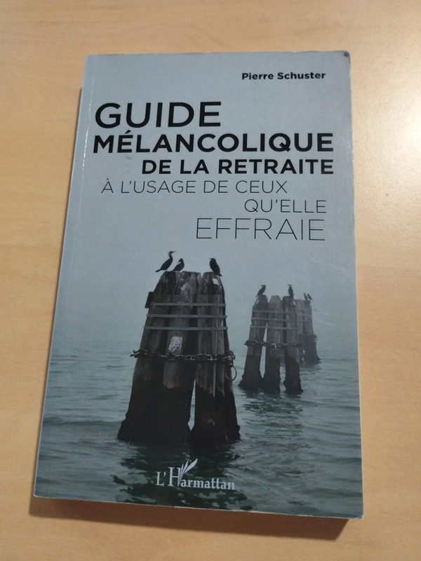 Essai témoignage : guide mélancolique de la retraite, pierre schuster
