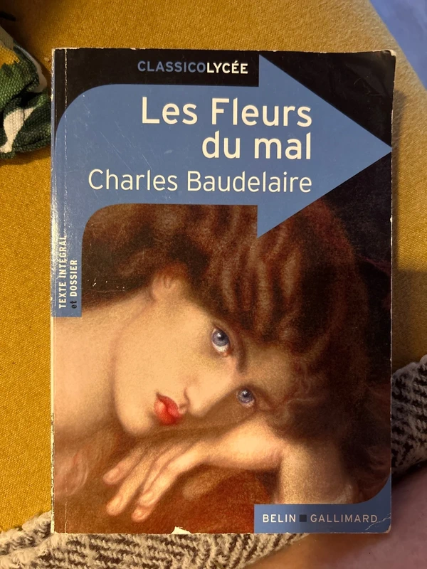 Les fleurs du mal - Beaudelaire