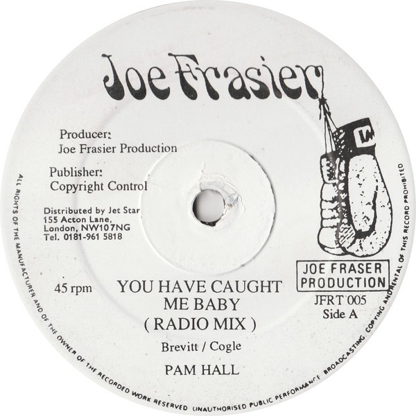 Pam Hall - You Have Caught Me Baby (12") (Very Good Plus (VG+)) - 2791450618